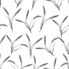 Spikelets of wheat seamless pattern. Wheat hand drawn elements. Vintage vector illustration.