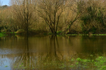 Fototapeta na wymiar Grouville Common, Jersey, U.K. Telephoto image of a Winter flood plain.