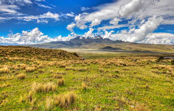 The Ruminahui volcano in the background and the fields of the highlands of the Cotopaxi National Park
