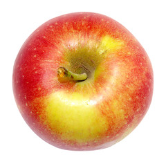 Apple isolated on white background