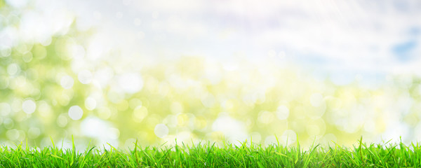 Naklejka premium Meadow Bokh