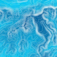 Topographic map background with space for copy . Line topography map contour background , geographic grid abstract vector illustration . Abstract geometric lines .