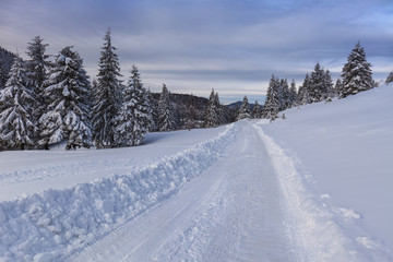Fototapeta na wymiar rustic road in winter
