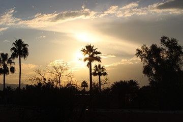 Arizona Sunset