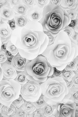 background paper roses