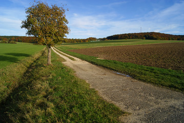 Herbst auf der Schwäbischen Alb