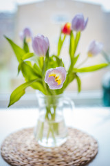 Tulips bouquet 