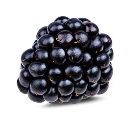 Fresh blackberry isolated on white background with clipping path