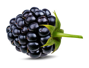 Fresh blackberry isolated on white background with clipping path