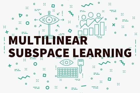 Conceptual business illustration with the words multilinear subspace learning