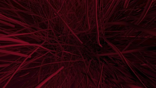 Fantastic sci fi abstract Background.Flying stripes in 3D space.Lineslike tree roots flying on camera zoom out.Red color.Type 2
