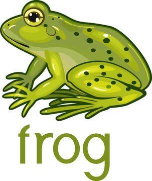 Green frog with title