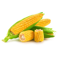 corn fruits isolated