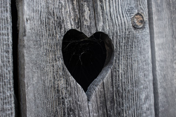 Heart with spider webs, Outhouse, toilet house love Rusty - 189250436