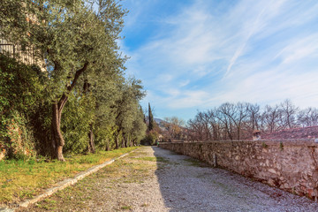 Fototapeta premium Park inside the castle of Brescia