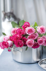 A bouquet of fresh pink roses, in a saucepan made of steel, on a gray stone background. Near the window . Home cat. Free place to write text or postcard.