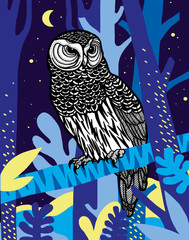 Owl in forest at night