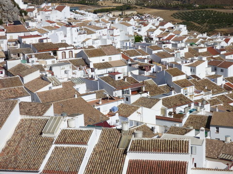Castillo de Olvera, pueblo de la provincia de Cádiz, en la comunidad autónoma de Andalucía (España) incluido en la comarca de la Sierra de Cádiz, y dentro del partido judicial de Arcos de la Frontera