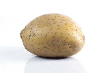 Fototapeta na wymiar Young potato