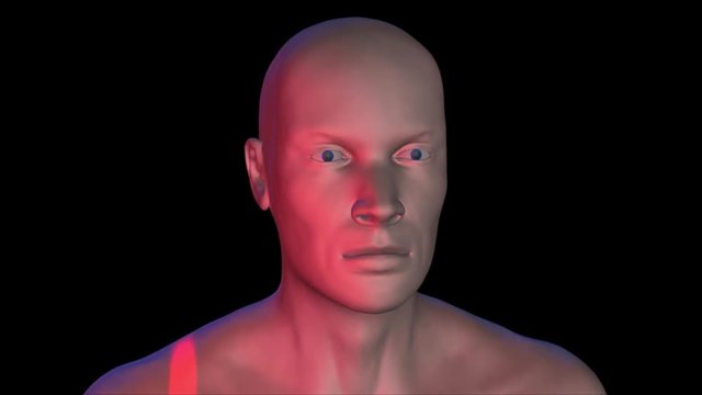 Face recognition , biometric verification and scanning. 3d animation.Sold surface 3d face. Front view. Camera orbits face.