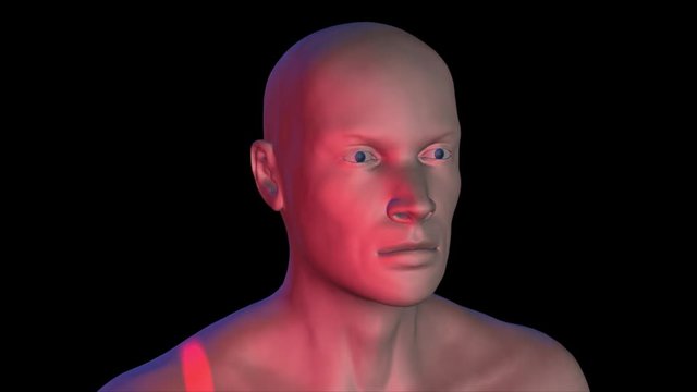 Face recognition , biometric verification and scanning. 3d animation.Sold surface 3d face. Front view. No camera movement