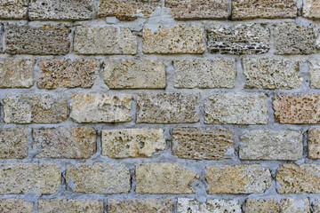 Sedimentary rock wall, fence, exterior, texture. Widely used in coastal places for build wall of house or fence, Ukraine