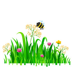Bright nature landscape with sky, clouds, grass, flowers and bee. Rural landscape. Field and meadow. Vector illustration.