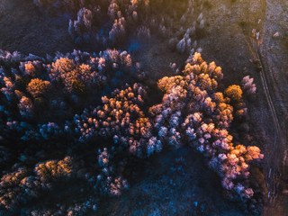 Background texture of a frozen forest at winter evening, aerial shot