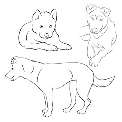 The contours of a dog and puppy