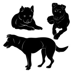 Silhouette dog and puppy on white background