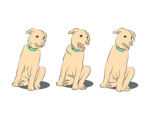 Outline of a puppy on a white background