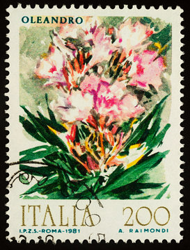 Oleander on postage stamp