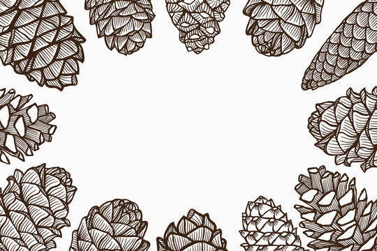 Christmas Pine Cones