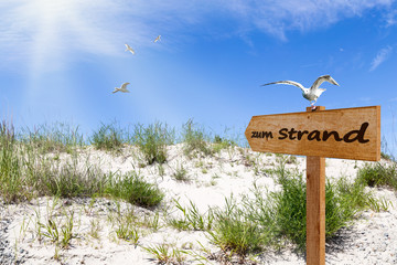 Zum Strand, Hinweisschild aus Holz mit Möwen auf einer Sanddüne im Sonnenschein