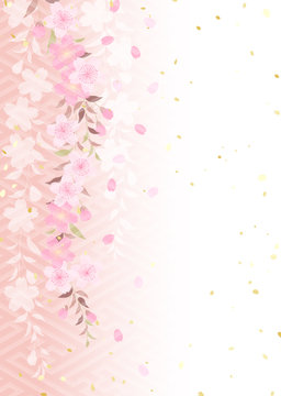 枝垂れ桜