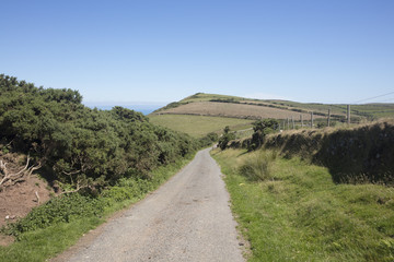 Fototapeta na wymiar Narrow country road in North Devon England