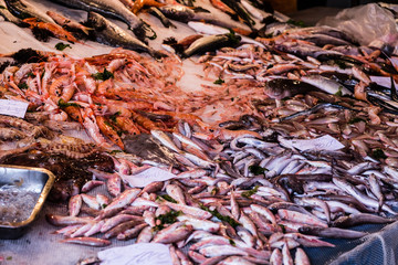 Fish at the fish market in Catania, Sicily