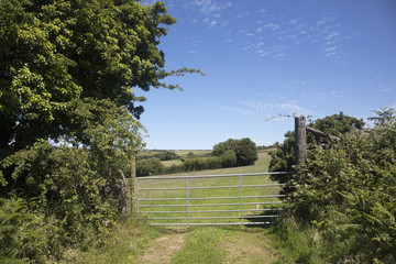 North Devon England farmland and gate