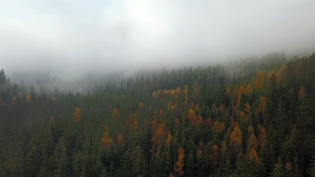 Aerial view of the mountains with a morning fog