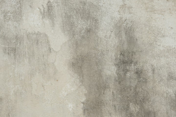 Fototapeta premium Smooth Concrete Wall Surface for Backgrounds