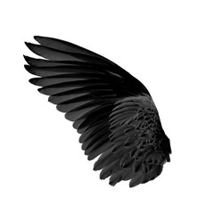 black wings on white background