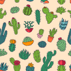 Cactus vector home nature handmade illustration of green cactus in bow plant cactaceous tree with flower different sorts and design home plant seamless pattern background
