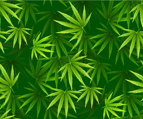 Naklejka na ściany i meble Marijuana leaves seamless vector pattern.