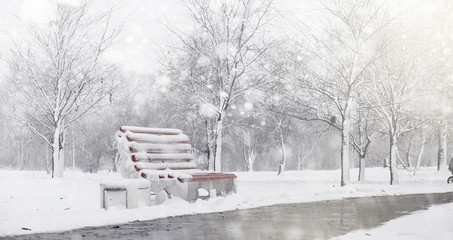 Snow-covered winter park and benches. Park and pier for feeding 