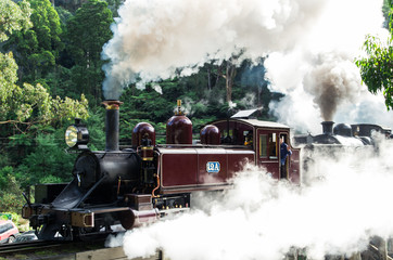 Naklejka premium Puffing Billy steam train in the Dandenong Ranges near Melbourne.