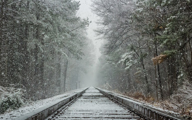 Snowy tracks