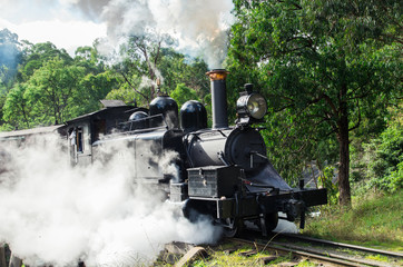 Naklejka premium Pociąg parowy Puffing Billy w pasmach Dandenong niedaleko Melbourne.