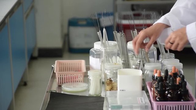 Closeup hand of woman scientist or science college student in labcoat working and sorting on lab equipment tool or chemical device for gram staining in biology research laboratory. 