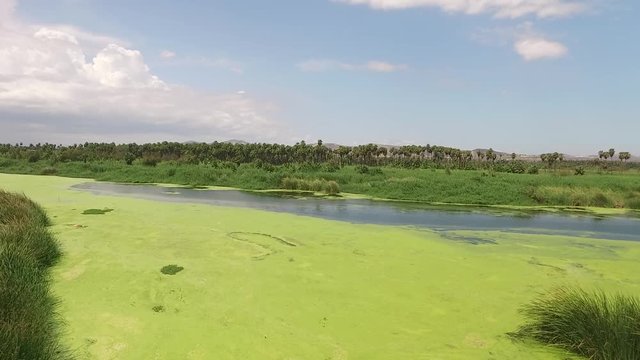 San Jos&eacute; Del Cabo laguna estero