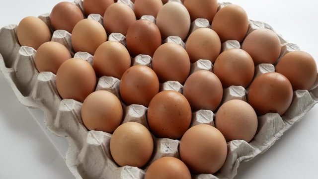 Eggs in cardboard cells. Video in Motion